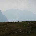 Garni Post 3* Grainau