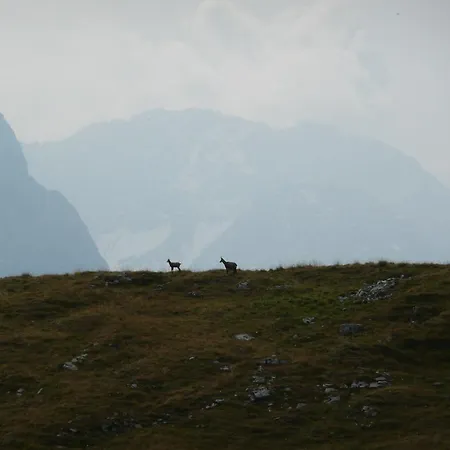 Garni Post 3* Грайнау